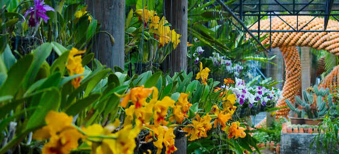 Сады орхидей в парках мира