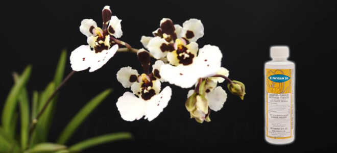 Препарат для орхидей – Физан 20