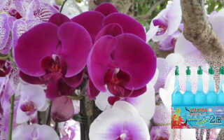 Жидкие японские удобрения для орхидей